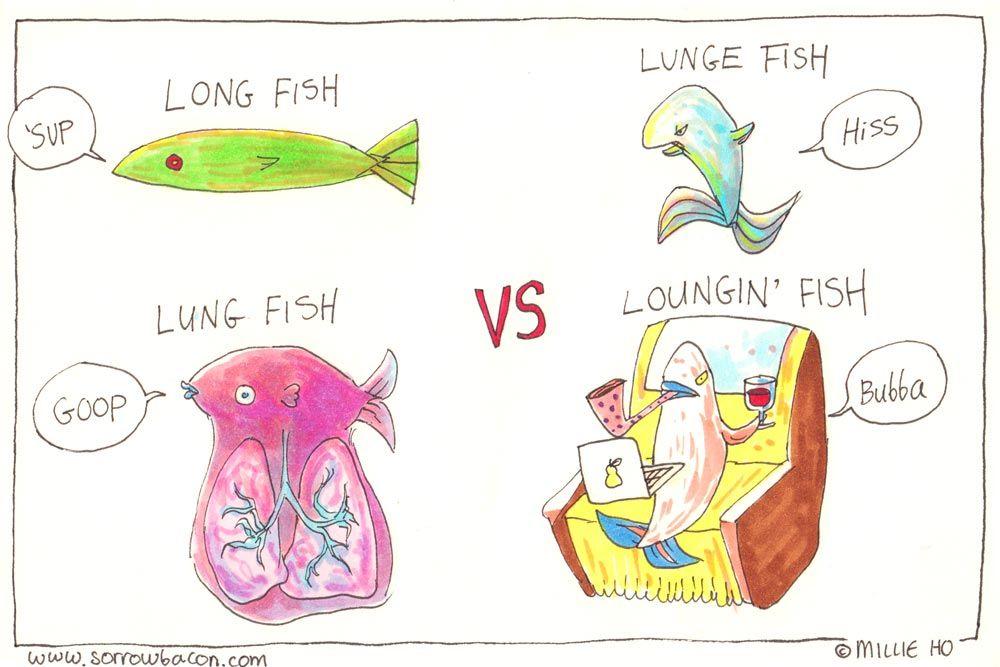 Fish Types sorrowbacon comic