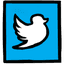 Twitter icon
