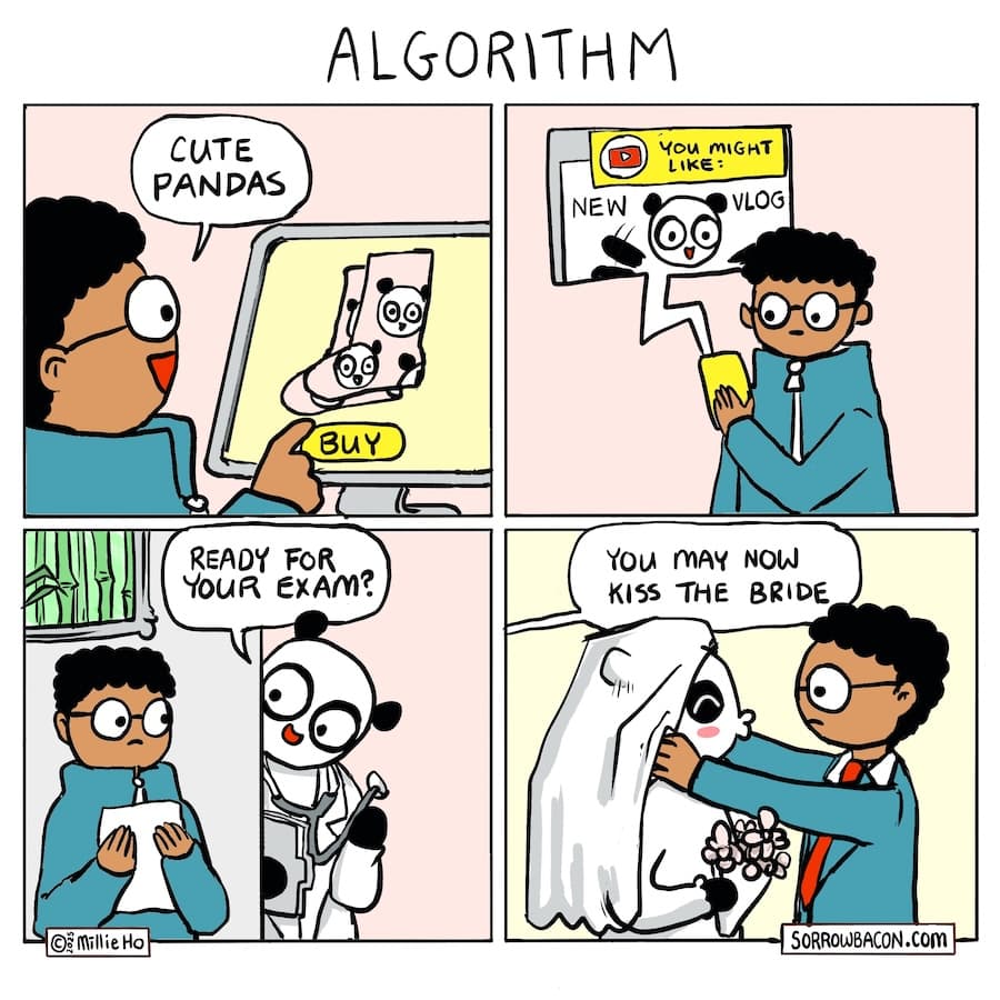 A comic about panda socks and algorithms. 