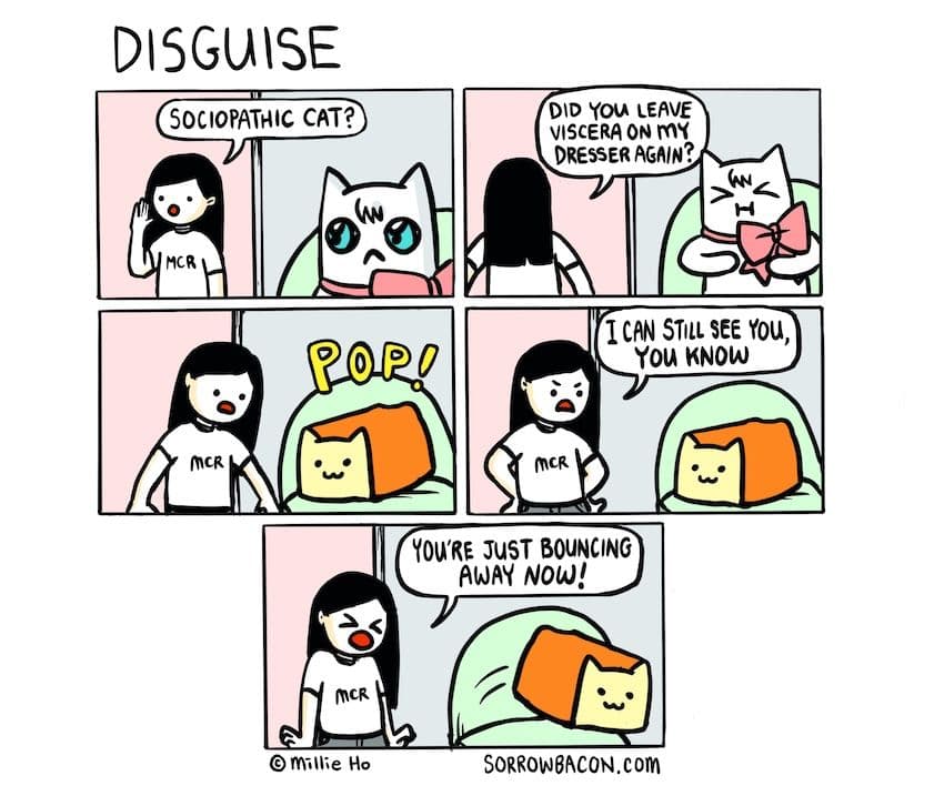 Disguise sorrowbacon comic