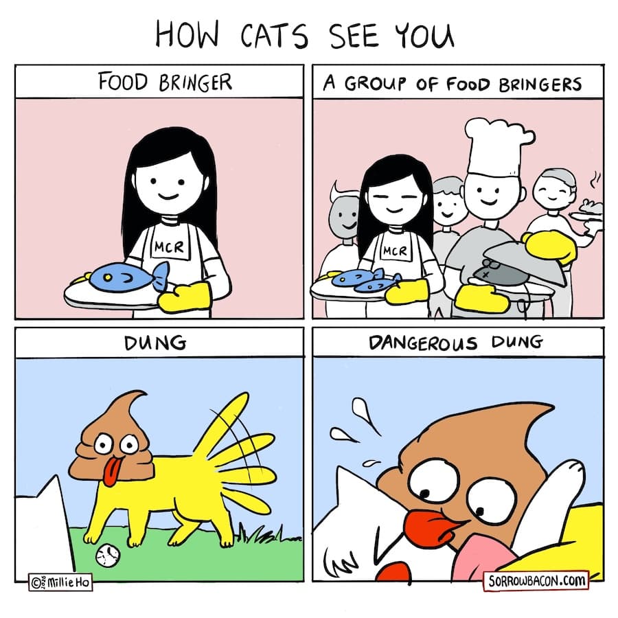How Cats See You sorrowbacon comic