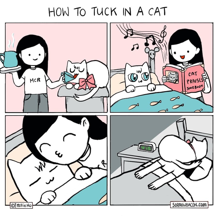 How to Tuck in a Cat sorrowbacon comic