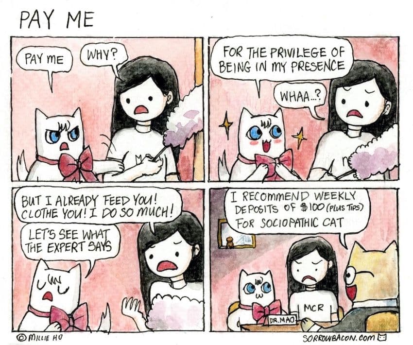 Pay Me sorrowbacon comic