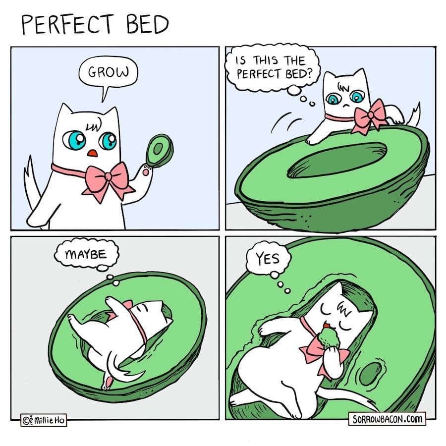 sorrowbacon Perfect Bed comic