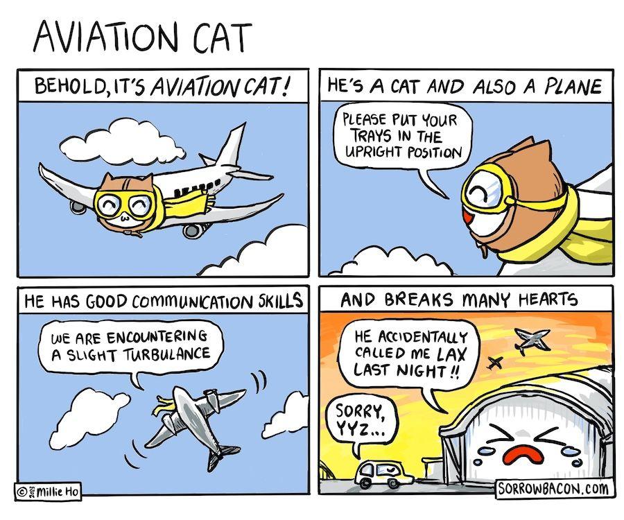 Aviation Cat sorrowbacon comic