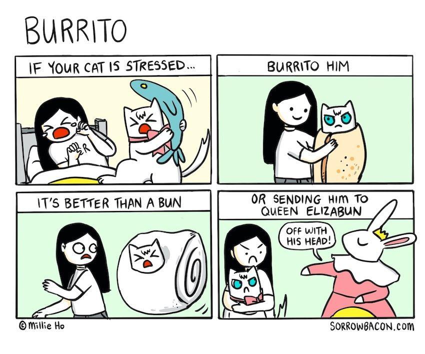 Burrito sorrowbacon comic