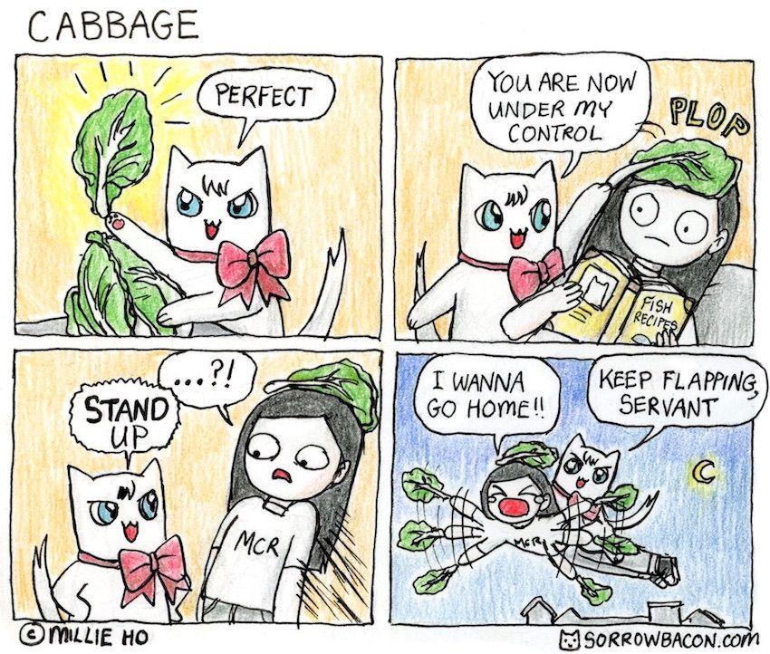 Cabbage sorrowbacon comic