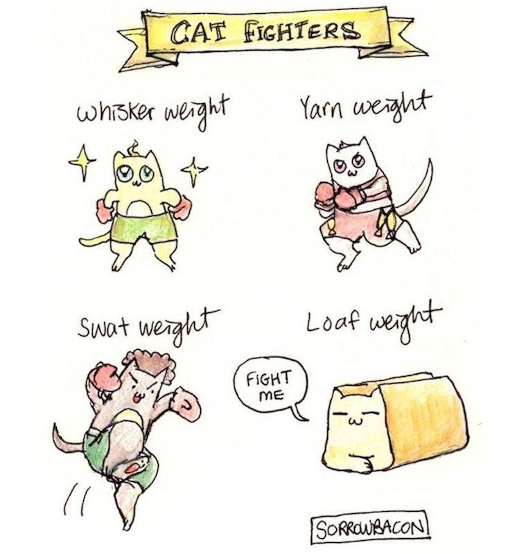 Cat Fighters sorrowbacon