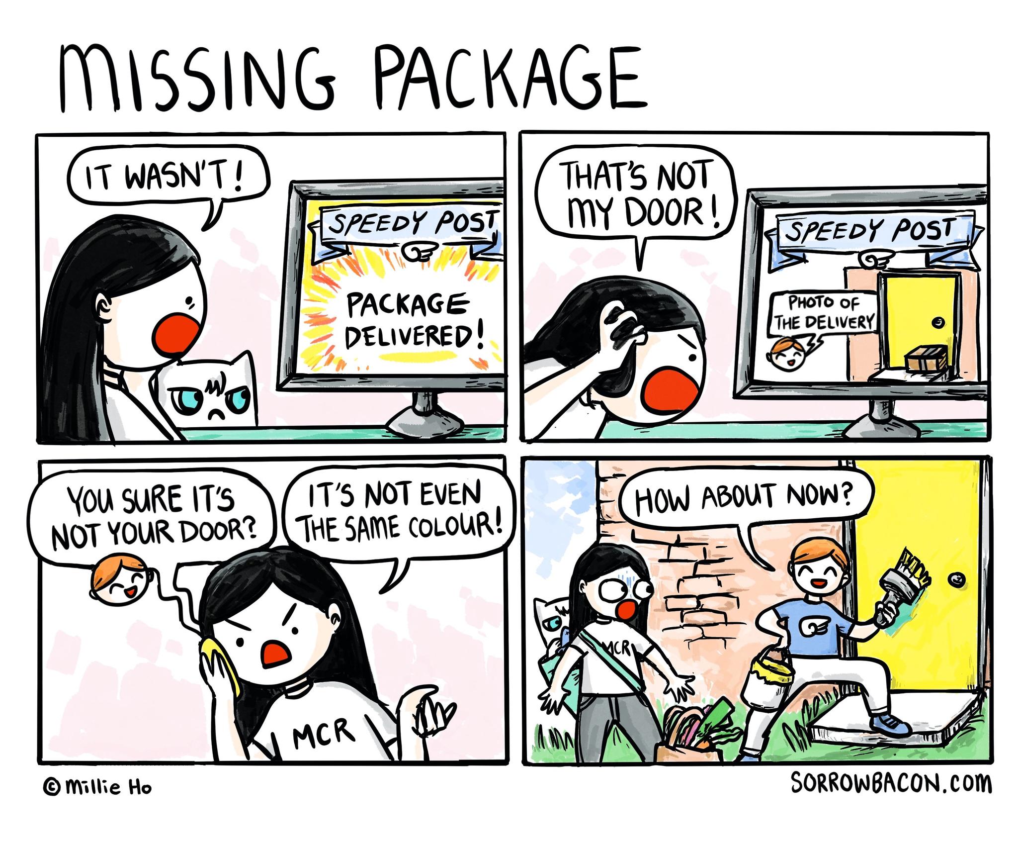 Missing Package sorrowbacon comic
