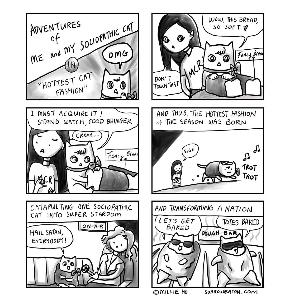 Hottest Cat Fashion sorrowbacon comic