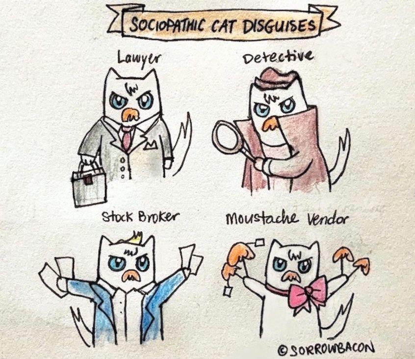 Sociopathic Cat Disguises sorrowbacon comic