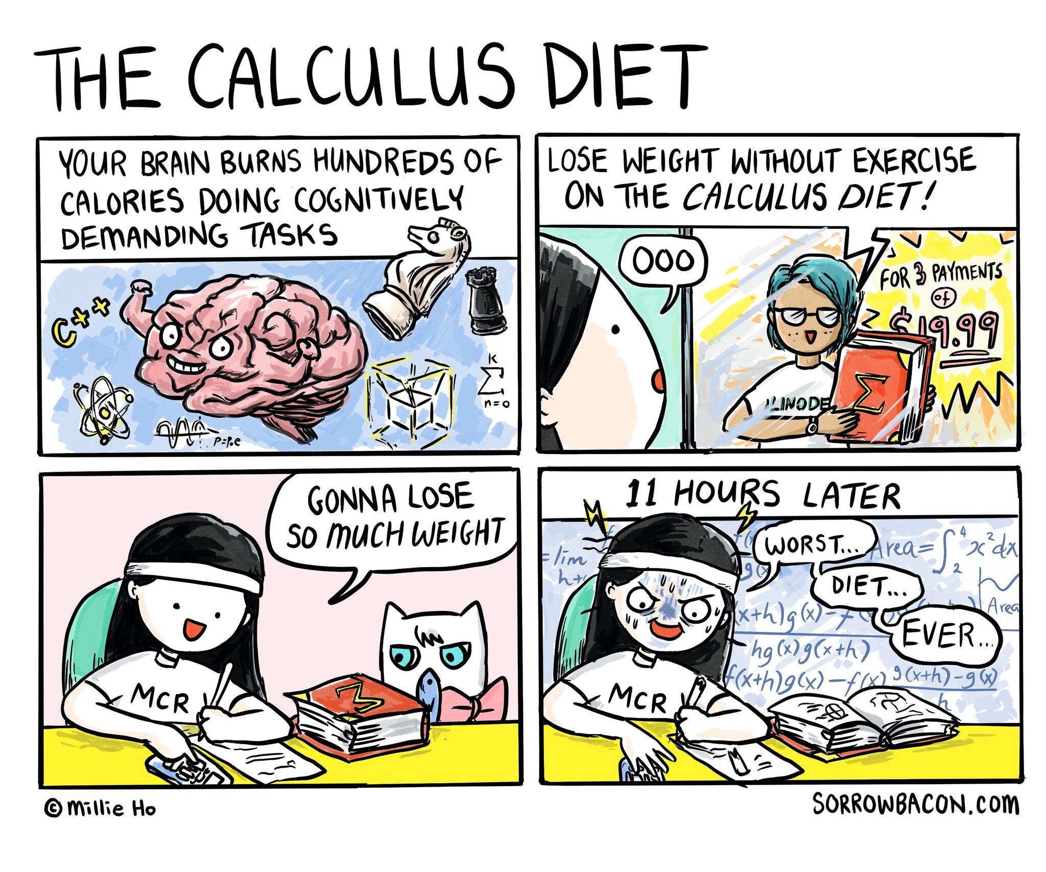 The Calculus Diet sorrowbacon comic