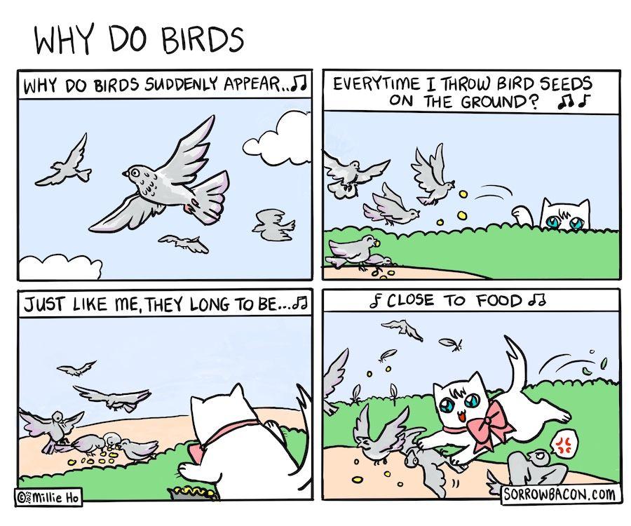 Why Do Birds sorrowbacon comic