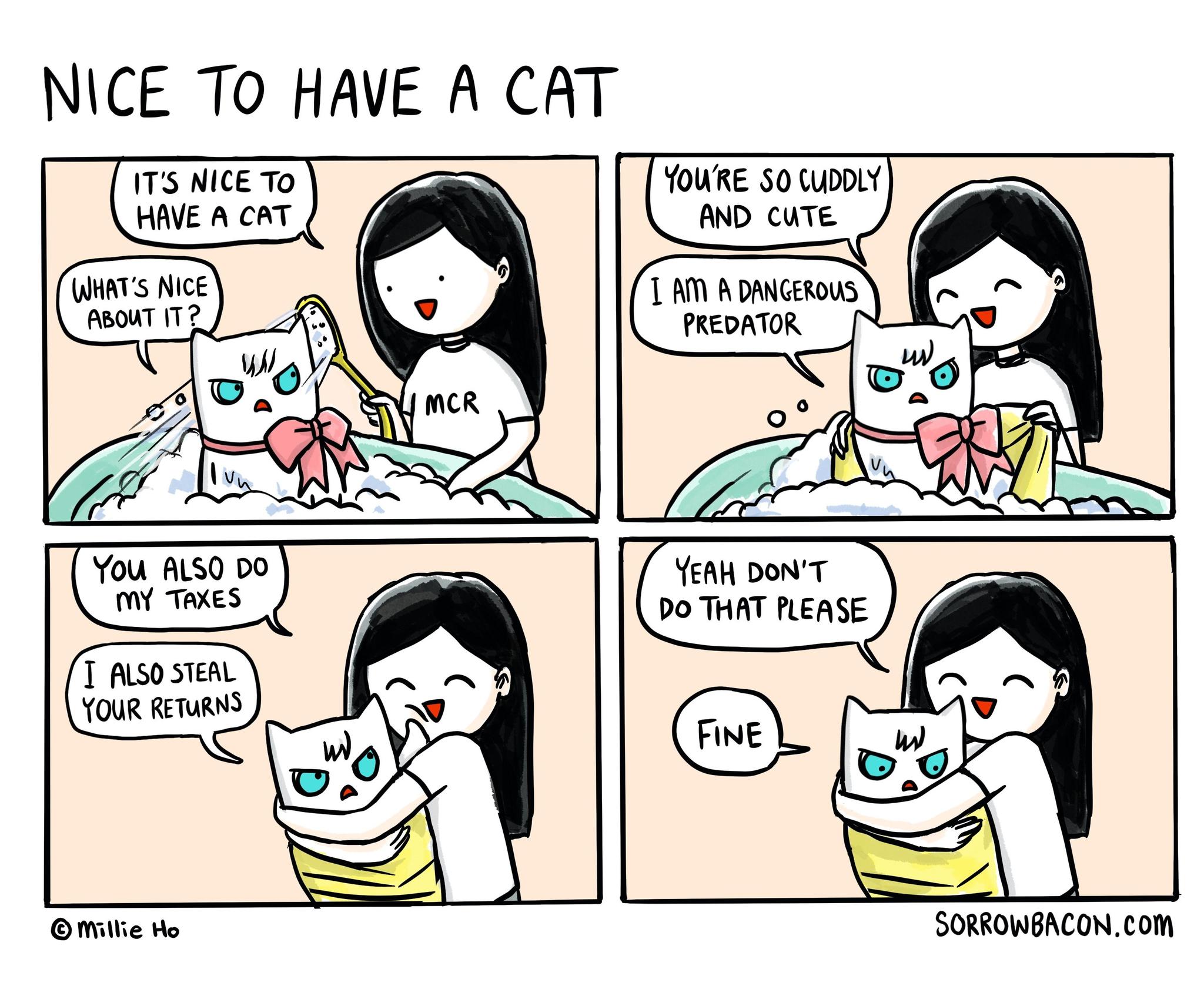 Nice to Have a Cat sorrowbacon comic